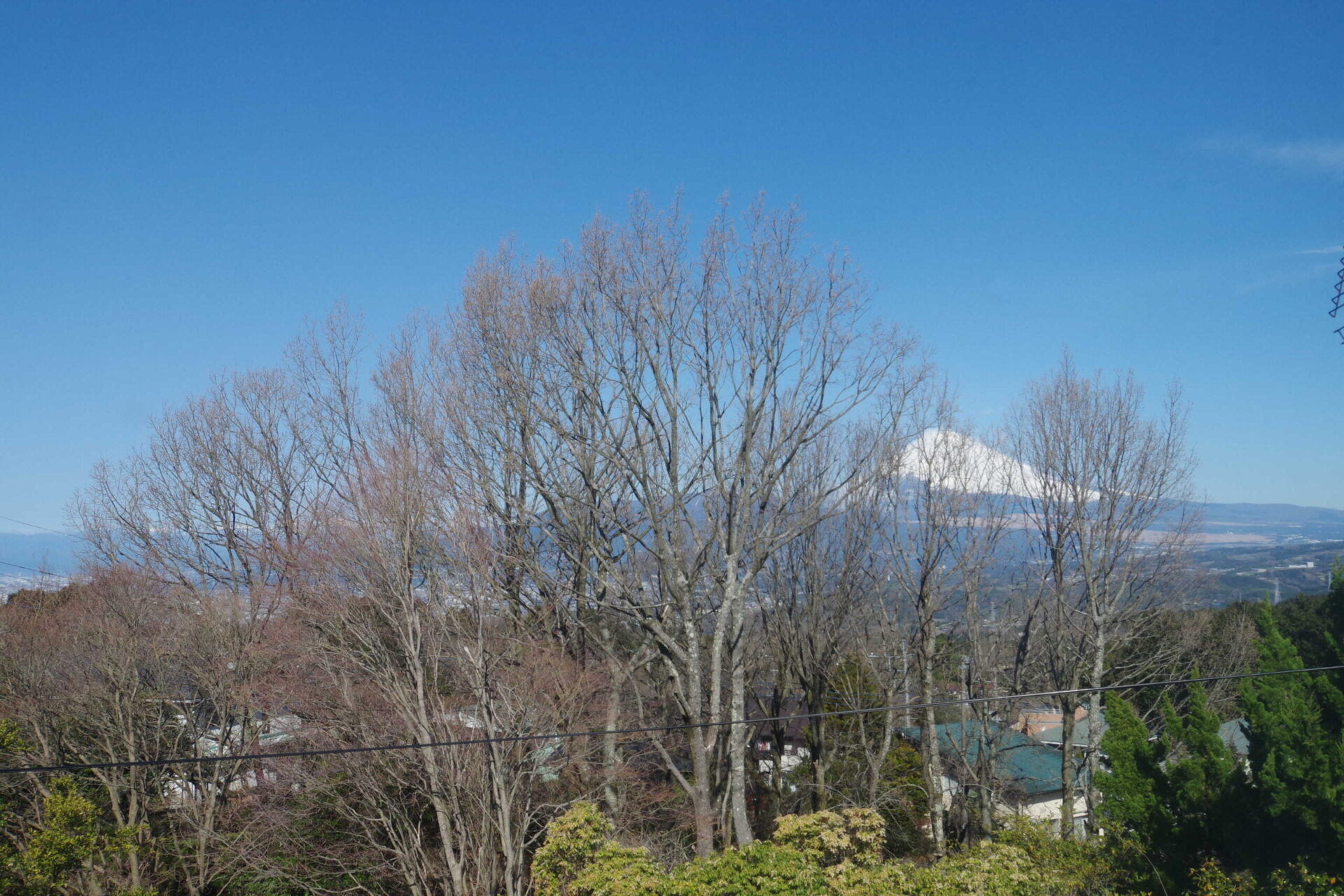 33-156眺望
