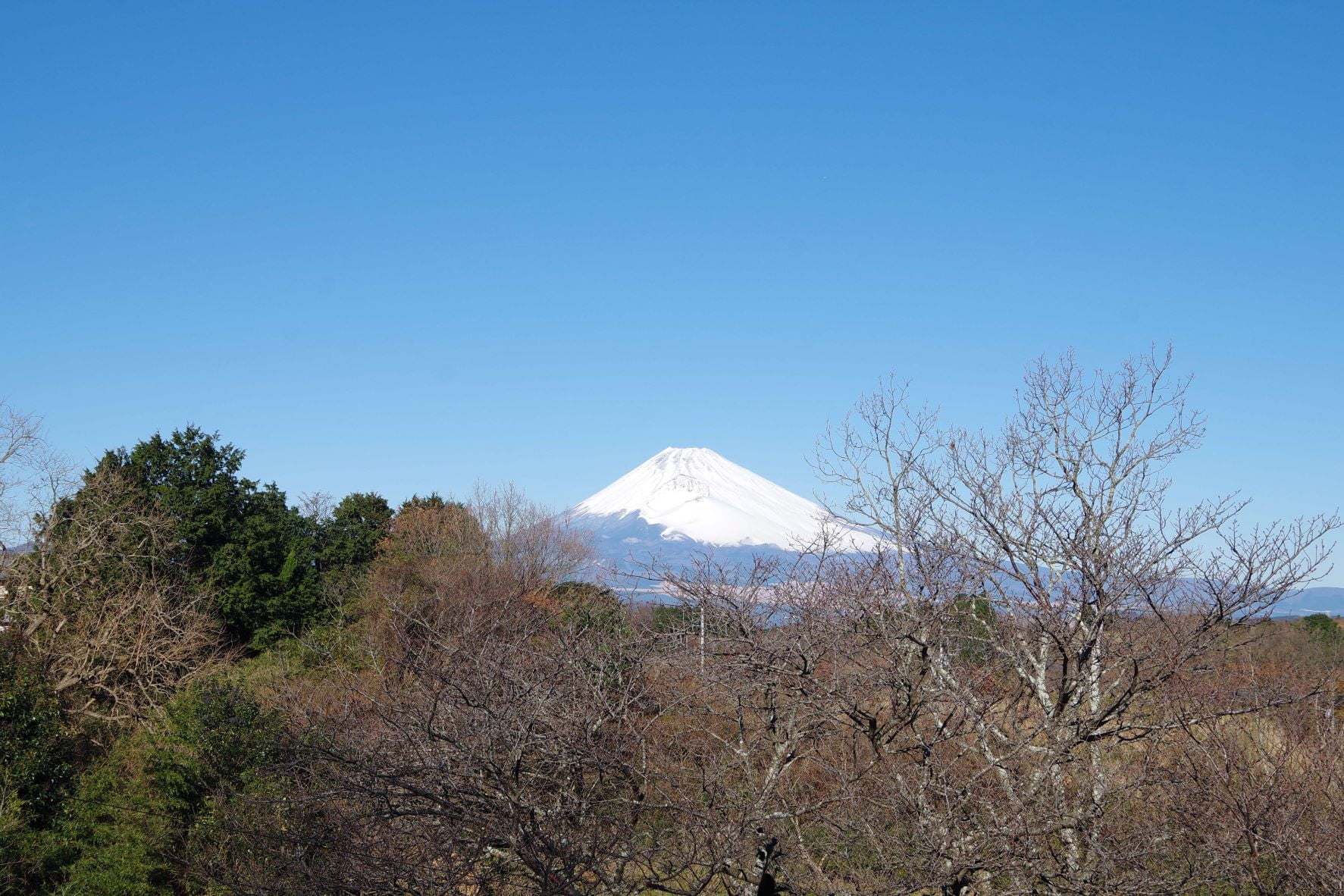 33-367⑩IMGP3331fuji