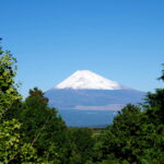 ⑨IMGP6637富士山(2F洋室)※(差替)